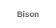 Bison